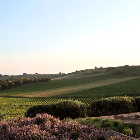 La Foresteria Planeta Wine & Club 4* Menfi