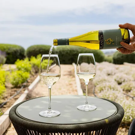 La Foresteria Planeta Wine & Club 4*