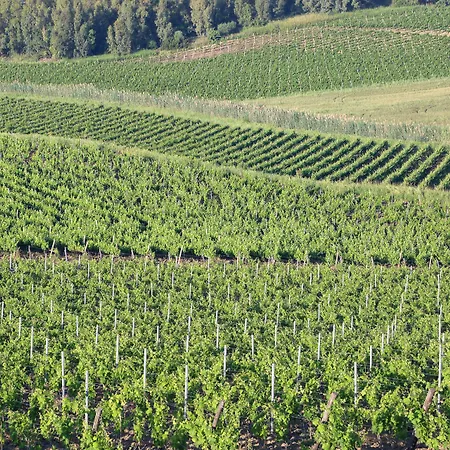 La Foresteria Planeta Wine & Club מנפי