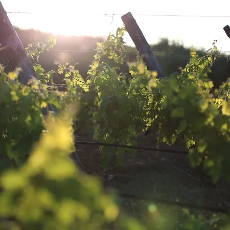 La Foresteria Planeta Wine & Club אתר נופש 4*