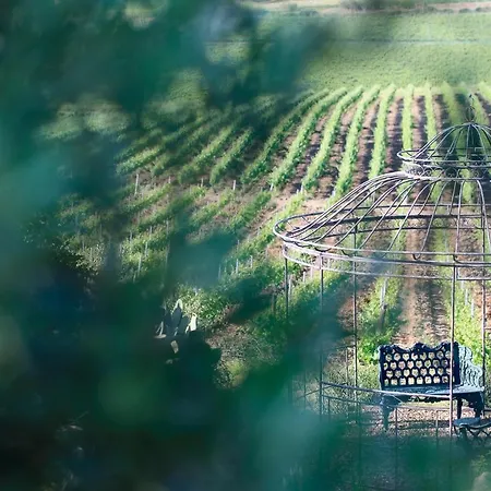 La Foresteria Planeta Wine & Club Menfi