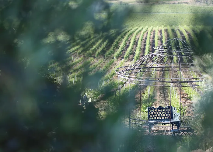 La Foresteria Planeta Wine & Club 4*