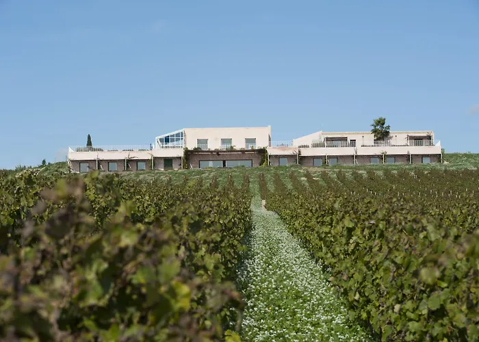 La Foresteria Planeta Wine & Club Menfi