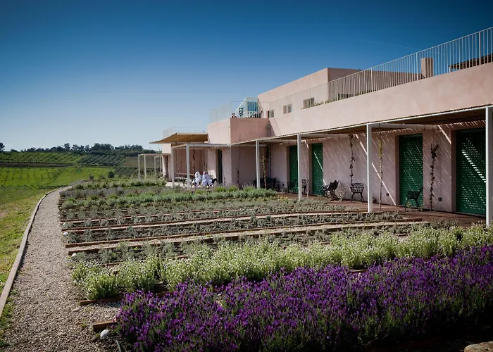 La Foresteria Planeta Wine & Club Resort