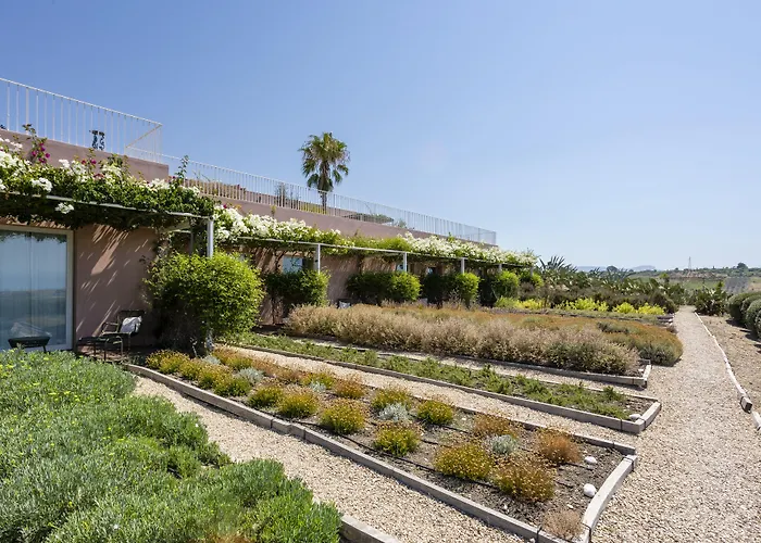 La Foresteria Planeta Wine & Club